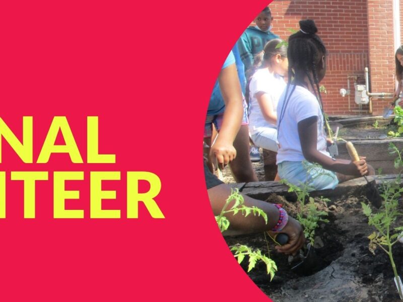 Celebrating National Volunteer Week: Recognizing the Importance of Volunteering