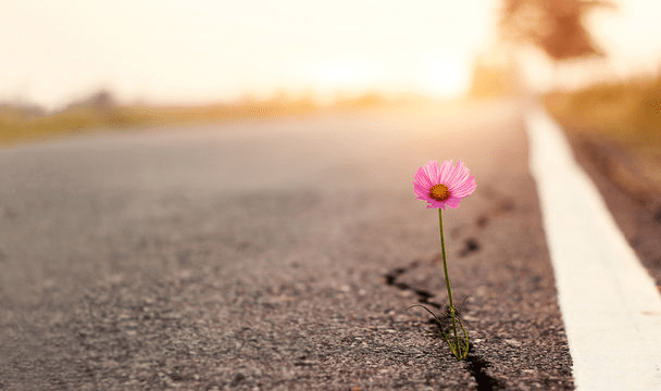 Ariana Grande Wants Us to Think